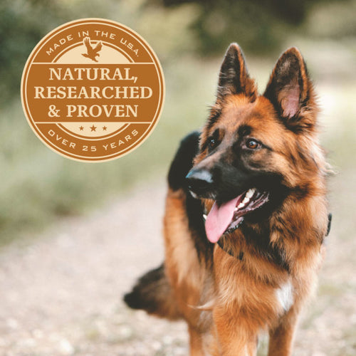 Eagle Pack Natural Large Breed Health Formula Dry Dog Food