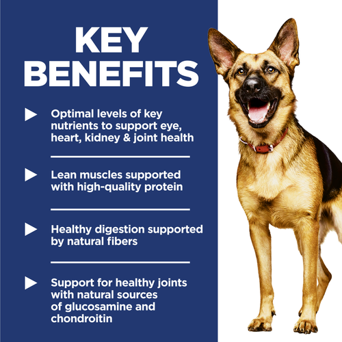 Hill's Science Diet Adult 6+ Large Breed Chicken Meal, Barley & Rice Recipe Dog Food