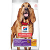Hill's Science Diet Adult Sensitive Stomach & Skin Large Breed Dry Dog Food