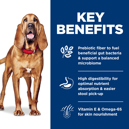 Hill's Science Diet Adult Sensitive Stomach & Skin Large Breed Dry Dog Food