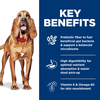 Hill's Science Diet Adult Sensitive Stomach & Skin Large Breed Dry Dog Food