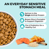 Koha Limited Ingredient Dry Bland Diet Salmon & Brown Rice Recipe with Pumpkin for Dogs