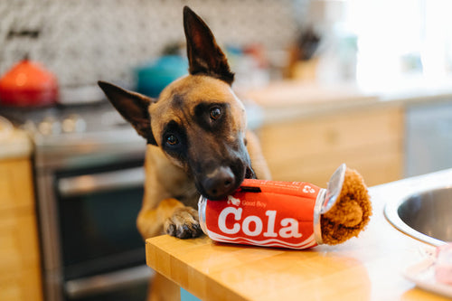 P.L.A.Y. Snack Attack Good Boy Cola Dof Toy