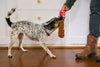 P.L.A.Y. Snack Attack Good Boy Cola Dof Toy