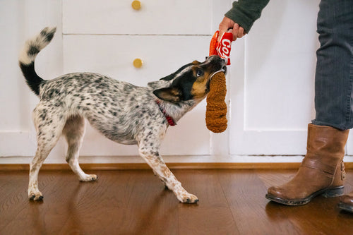 P.L.A.Y. Snack Attack Good Boy Cola Dof Toy
