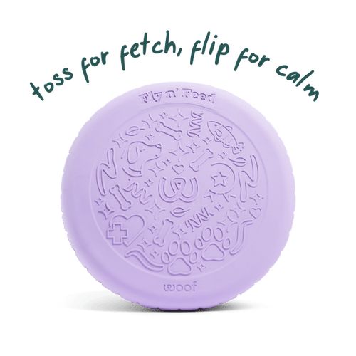 Woof Fly n' Feed Dog Toy