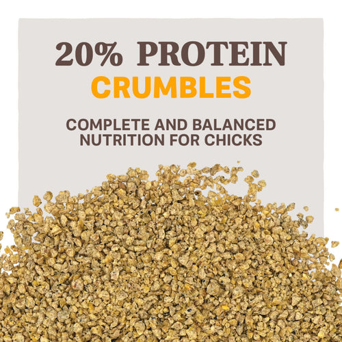 Kent Blue Seal Home Fresh Starter Crumble AMP Medicated Chick Starter Feed