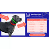 Coastal Pet Products Herm. Sprenger Middle Links for Dog Prong Collars