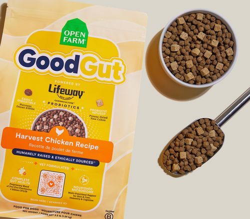 Open Farm GoodGut Harvest Chicken Dog Kibble