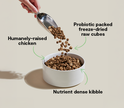 Open Farm GoodGut Harvest Chicken Dog Kibble