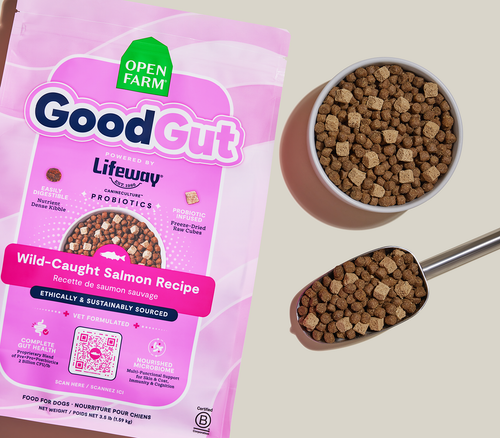 Open Farm GoodGut Wild-Caught Salmon Dog Kibble