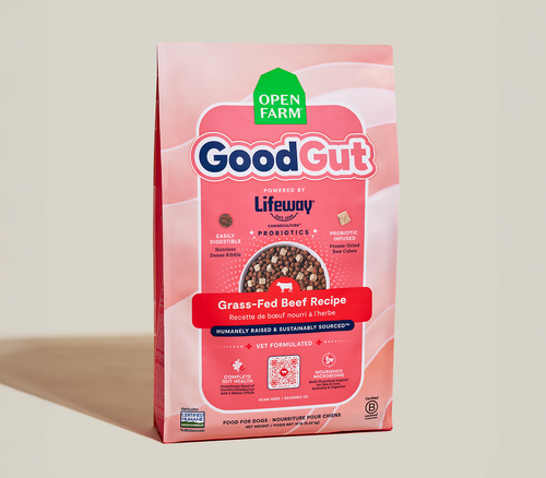 Open Farm GoodGut Grass-Fed Beef Dog Kibble