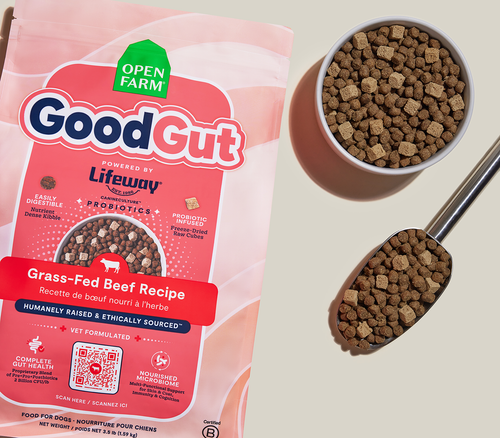 Open Farm GoodGut Grass-Fed Beef Dog Kibble