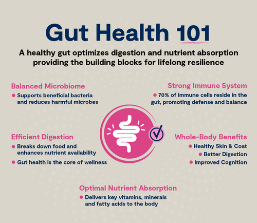 Open Farm GoodGut Grass-Fed Beef Dog Kibble