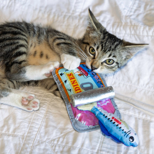 KONG Crackles Sardine Cat Toy