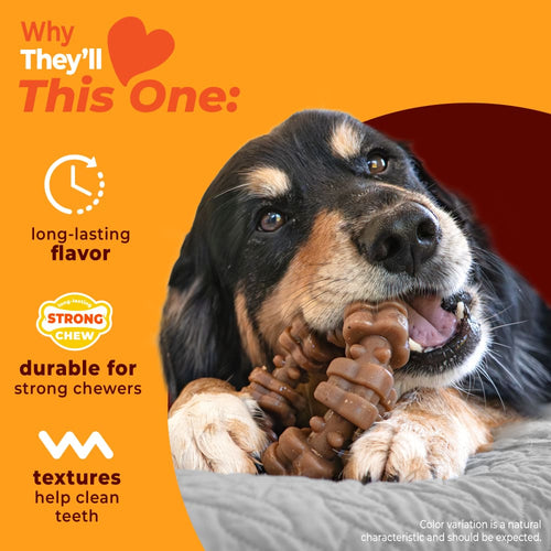 Nylabone Strong Chew Textured Ring Dog Chew Toy