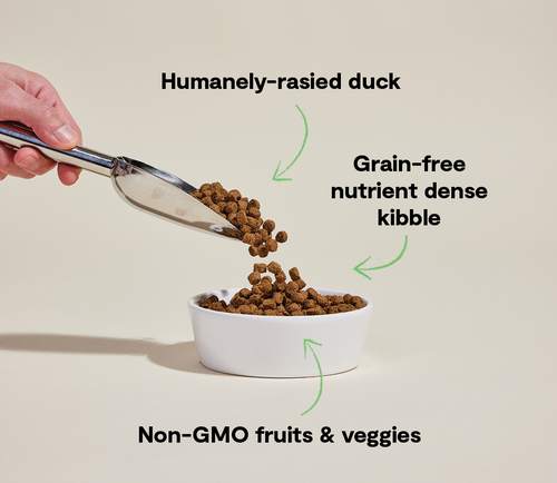 Open Farm Farmstead Duck Grain-Free Dog Kibble