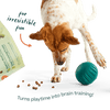 Woof Puzzle Treats Dog Toy