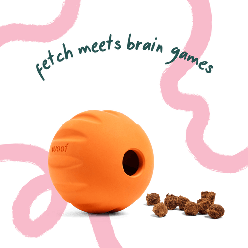 Woof Flyball Dog Toy