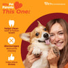 Nylabone Strong Chew Femur Bone Dog Chew Toy