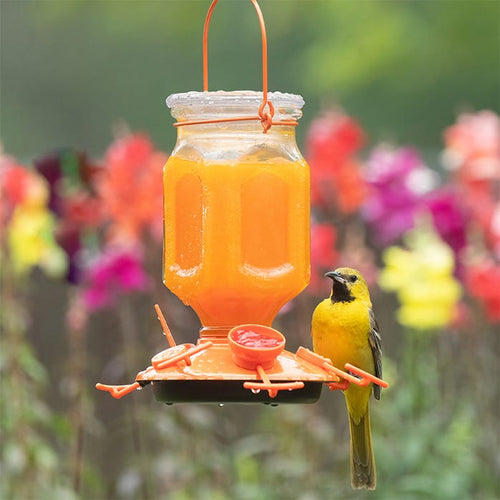 Perky-Pet® Ready-to-Use Orange Oriole Nectar - 16 oz
