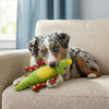 KONG Tropics Rattlez Iguana Dog Toy