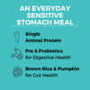 Koha Limited Ingredient Dry Bland Diet Beef & Brown Rice Recipe with Pumpkin for Dogs