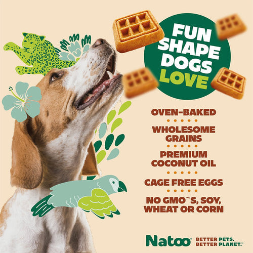 Natoo Crunchy Biscuits Oats And Berries Flavor Dog Treats