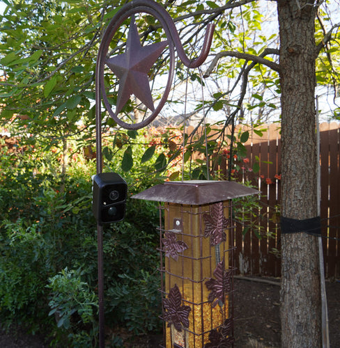 BeakView Feather Cam-The most versatile bird watching camera ever!