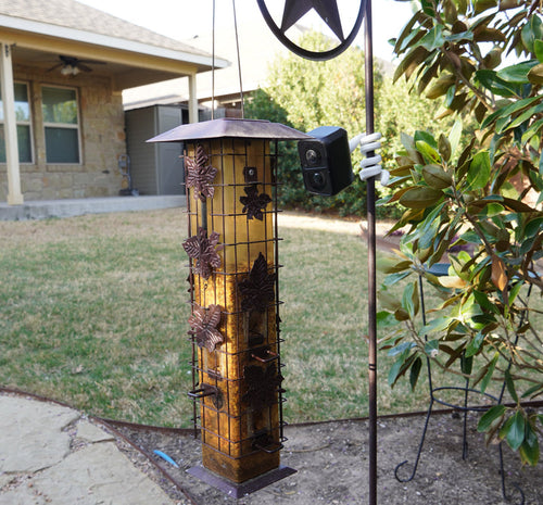 BeakView Feather Cam-The most versatile bird watching camera ever!