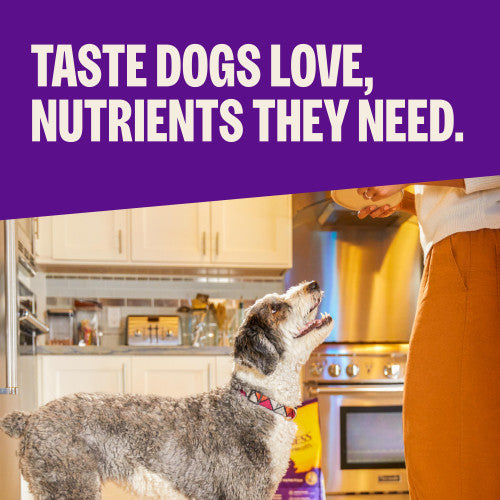 Wellness Complete Health Natural Dry Dog Food Whitefish and Sweet Potato Recipe
