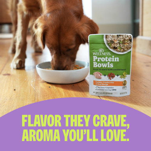 Wellness Protein Bowls Turkey, Cranberries & Peas Recipe Wet Dog Food