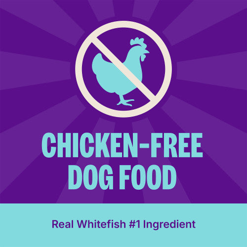 Wellness Complete Health Whitefish & Sweet Potato Recipe Dry Dog Food