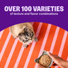 Wellness CORE® Signature Selects®  Shredded Duck & Turkey Liver Entrée in Sauce Wet Cat Food