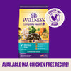 Wellness Complete Health+ Small Breed Dry Dog Food Turkey & Oatmeal Recipe