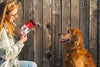 Cabot Creamery x Play Seriously Sharp Squeaker Dog Toy