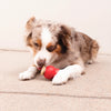 KONG Corkz Dog Treat