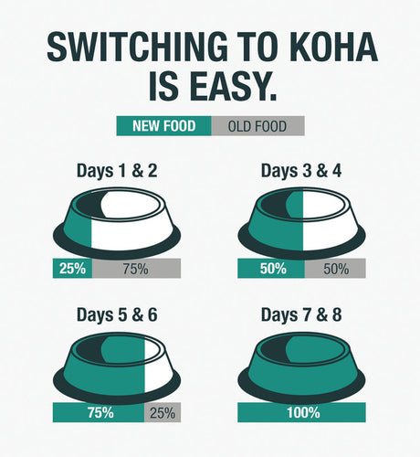 Koha Pure Shreds Shredded Chicken Breast & Salmon Entrée for Cats