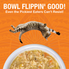 Koha Pure Shreds Shredded Chicken Breast Entrée for Cats
