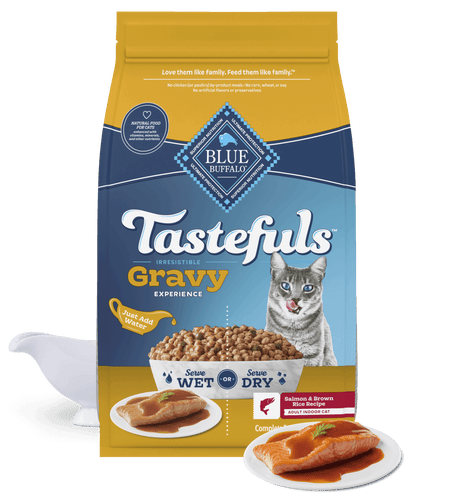 Blue Buffalo BLUE Tastefuls Gravy Salmon & Brown Rice Recipe Cat Dry Food