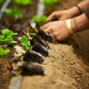 Vermont Compost Perennial Blend Large Container & Raised Bed Mix