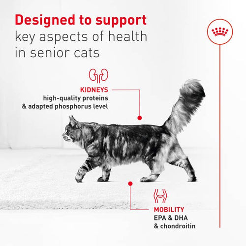 Royal Canin Aging 11+ Loaf in Sauce Wet Cat Food