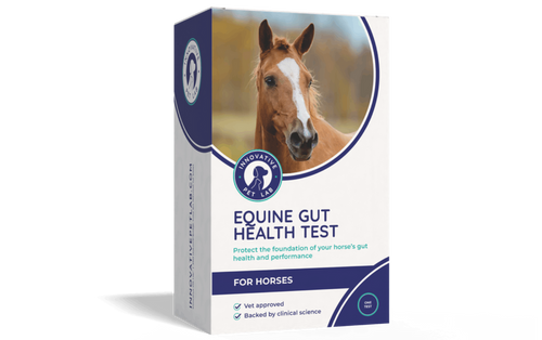 Innovative Pet Lab Equine Gut Health Test Kit for Horses