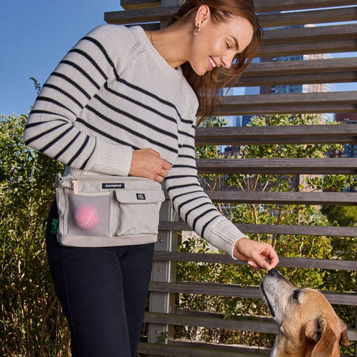 CleverPup Dog Walk & Train Sling Bag