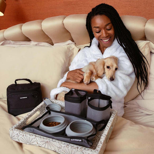 CleverPup Bistro Box Dog Food Travel Kit