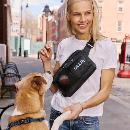 CleverPup Dog Walk & Train Sling Bag