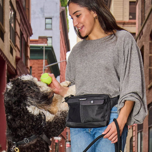 CleverPup Dog Walk & Train Sling Bag