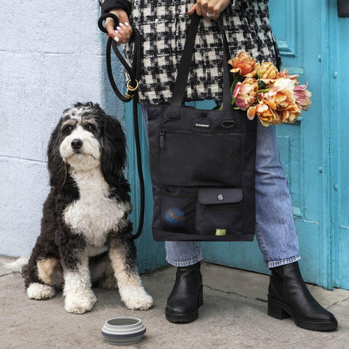 CleverPup Park Pack Dog Gear Tote Set
