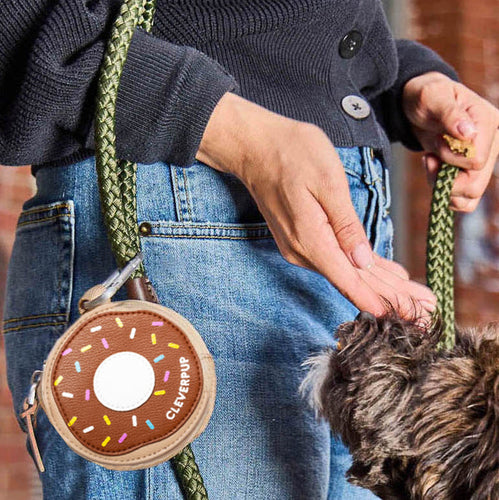 CleverPup Foodie Treat Pouch