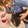 CleverPup Foodie Treat Pouch